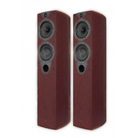 Wharfedale Evo-2 40 Rosewood