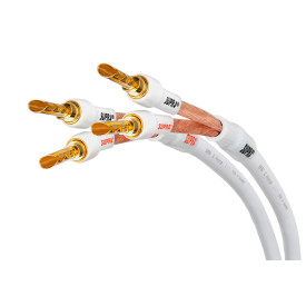 Supra XL ANNORUM BI-AMP COMBICON 2x4M