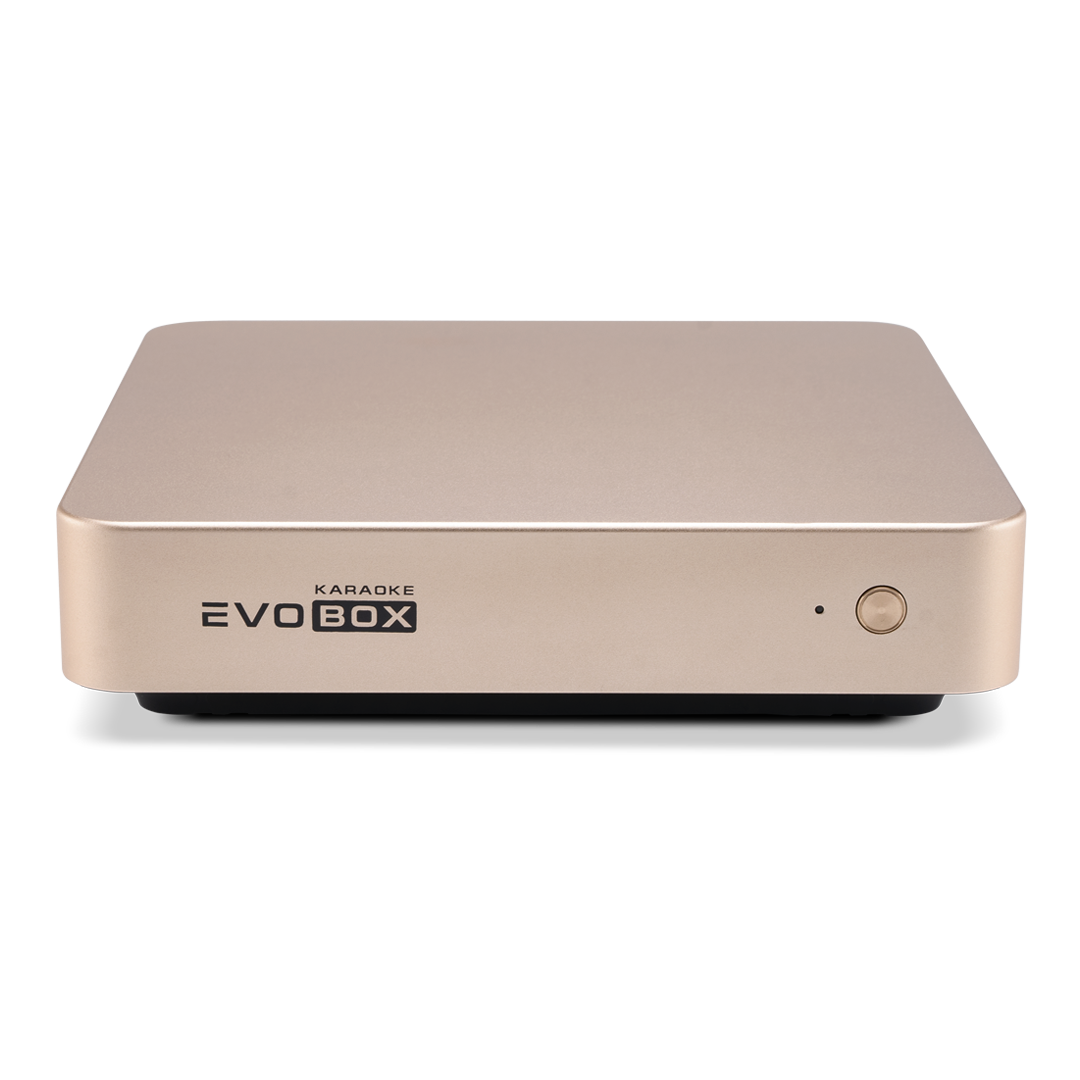 Караоке-система для дома EVOBOX [Gold]
