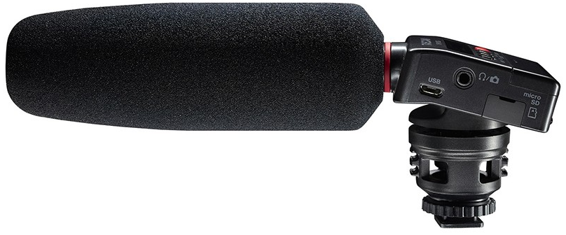 Tascam DR-10SG