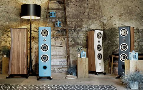 Шикарная акустическая система Focal Kanta №3