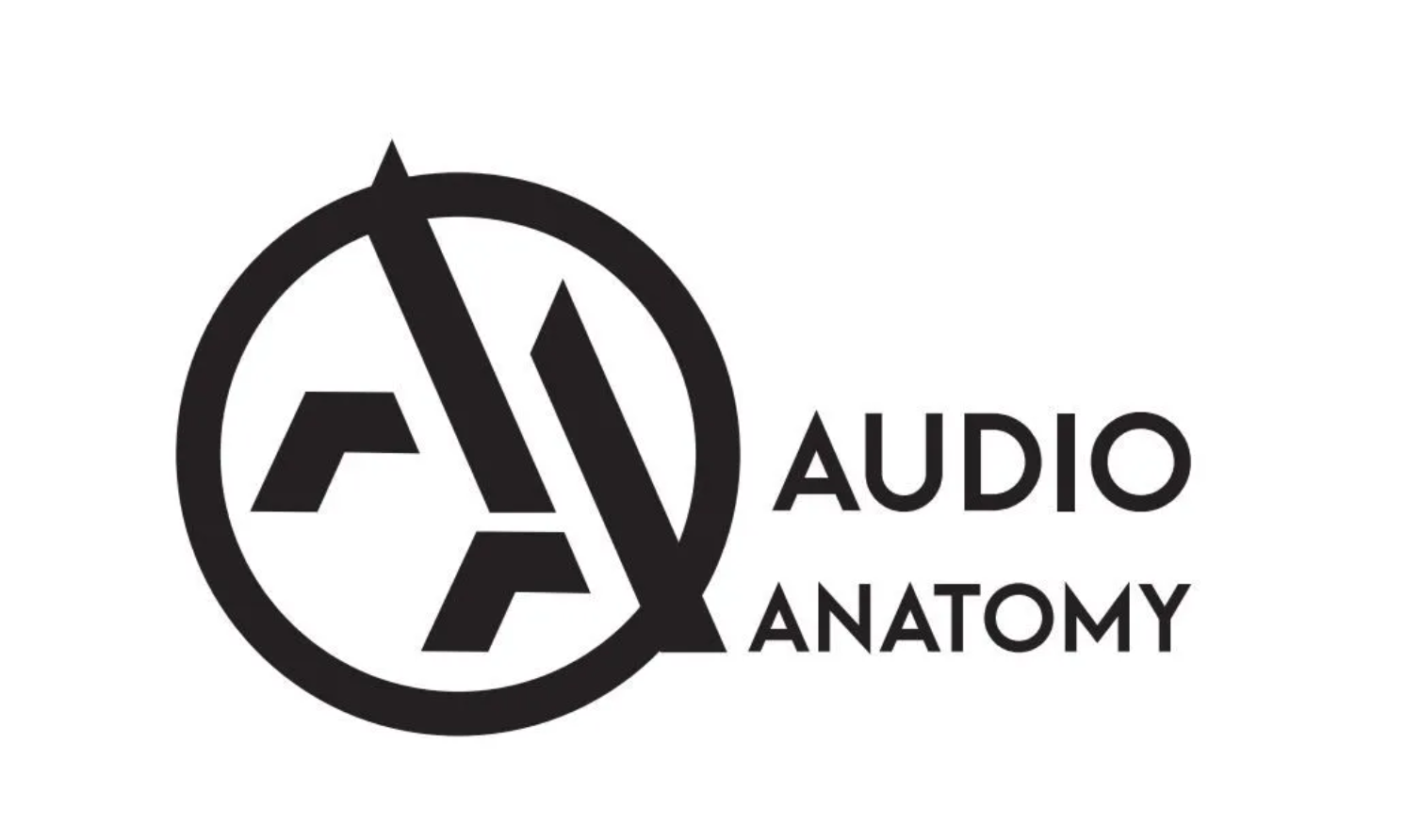 Audio Anatomy