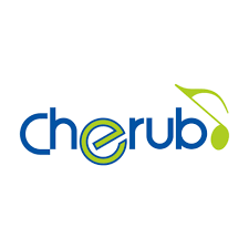 Cherub Technology