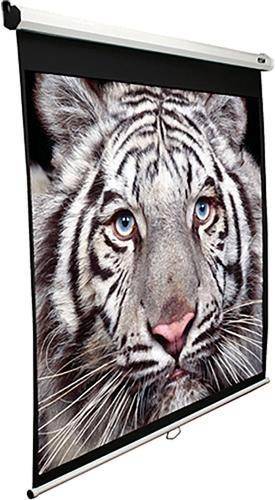 EliteScreen M100XWH-E24 100