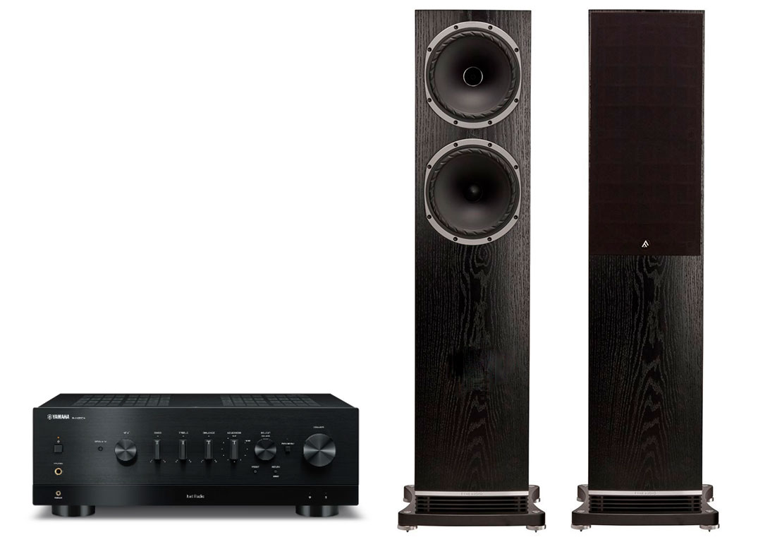 Yamaha R-N800A + Fyne Audio F502