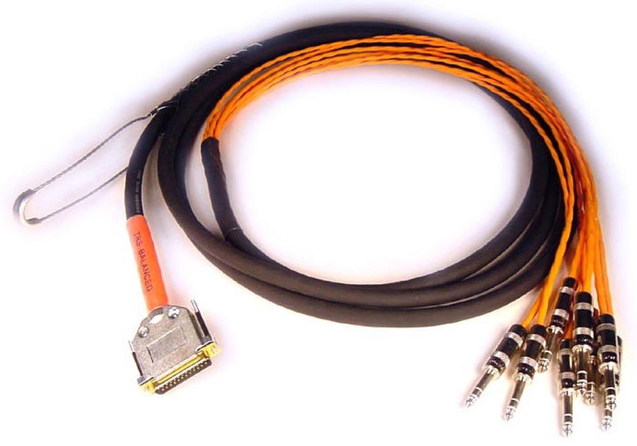 AVID DB25-TRS DigiSnake 4'