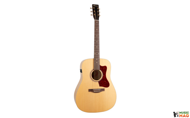 NORMAN B20 Natural GT Presys II