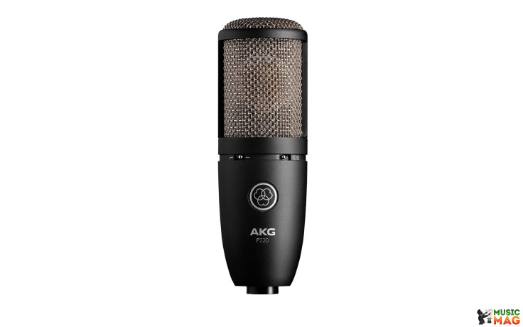 AKG Perception P220