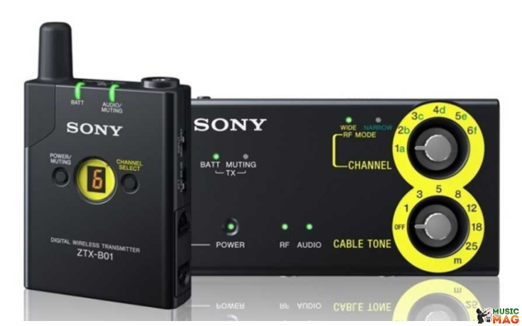 Sony Pro DWZ-B30GB