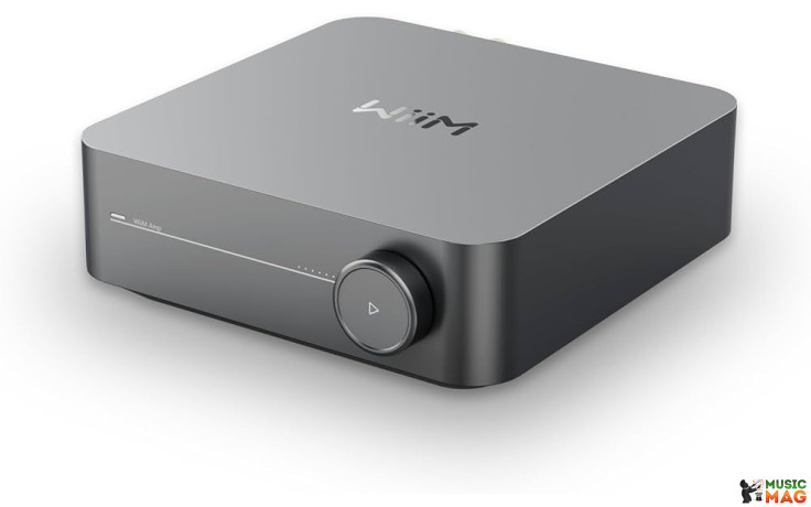 WiiM Amp Space Gray