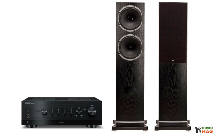Yamaha R-N800A + Fyne Audio F502