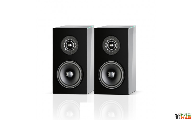 Audio Physic Classic Compact Grey Brown