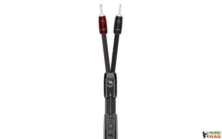AUDIOQUEST Pair 2.5M ROBIN HOOD SILVER BAN/S