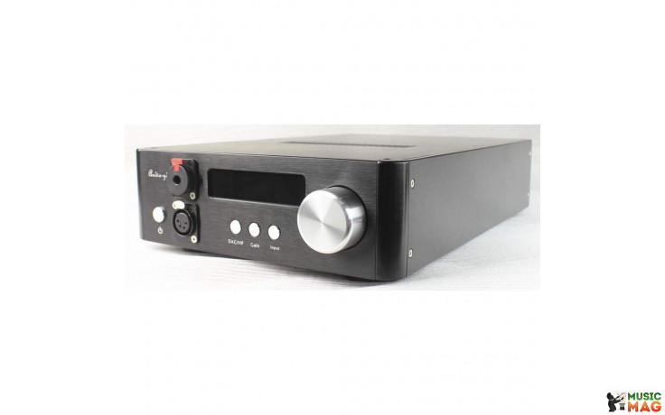 Audio-gd NFB-29 (2 TXCO