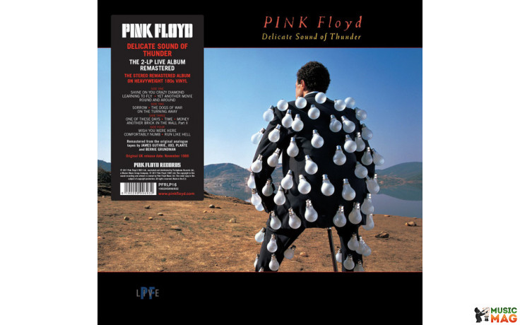 PINK FLOYD - DELICATE SOUND OF THUNDER 2 LP Set 1988/2017 (PFRLP16, 180 gm.) WARNER/EU MINT (0190295996932)