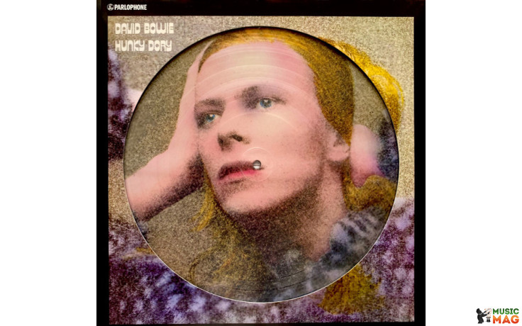 LP David Bowie: Hunky Dory (Picture Disc)