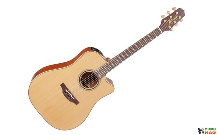 TAKAMINE P3DC