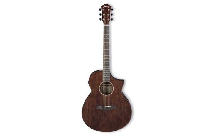 IBANEZ AEW40CD NT