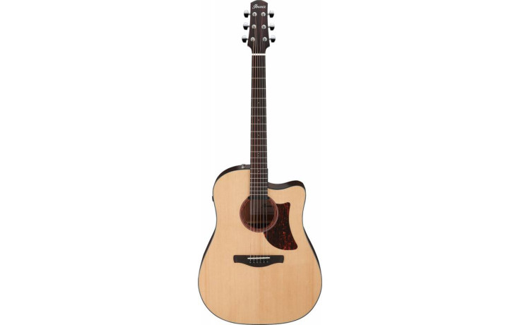 IBANEZ AAD170CE LGS