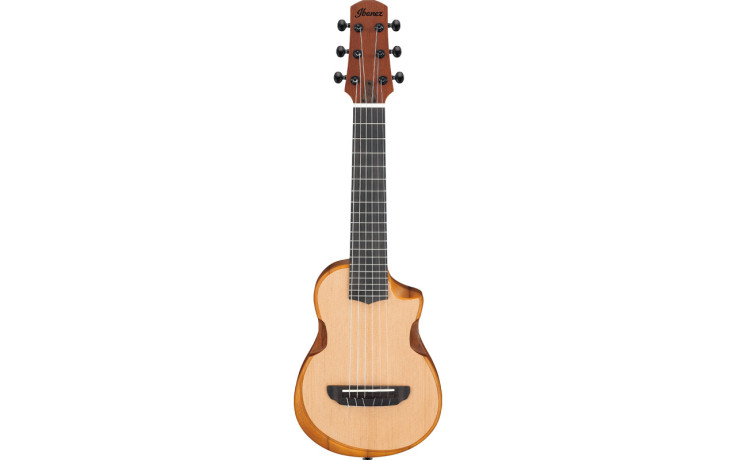 IBANEZ AUP10N OPN
