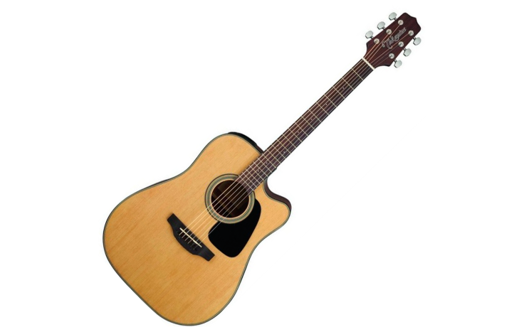 TAKAMINE GD10CE NS