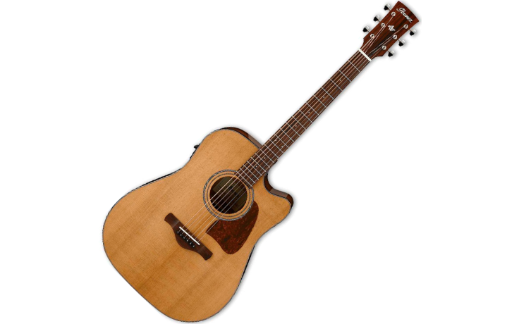 IBANEZ AVD9CE-NT