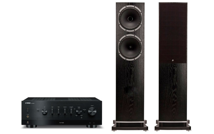 Yamaha R-N800A + Fyne Audio F502