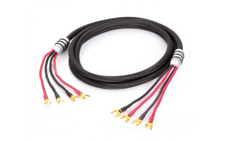 Accustic Arts TOP LINE MK3 (Single Wiring)