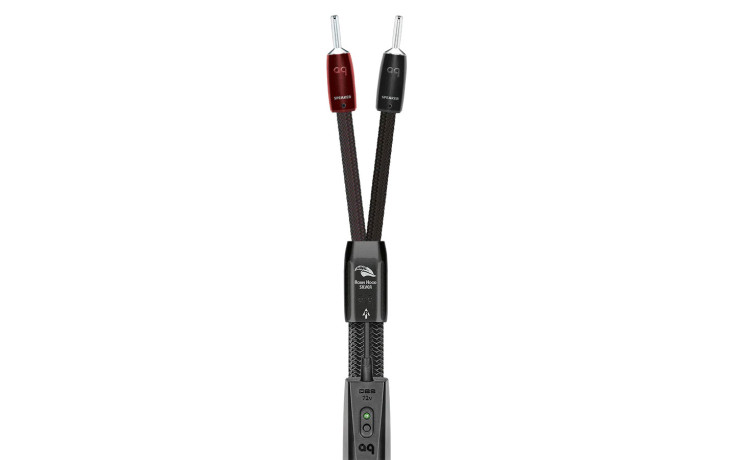 AUDIOQUEST Pair 2.5M ROBIN HOOD SILVER BAN/S
