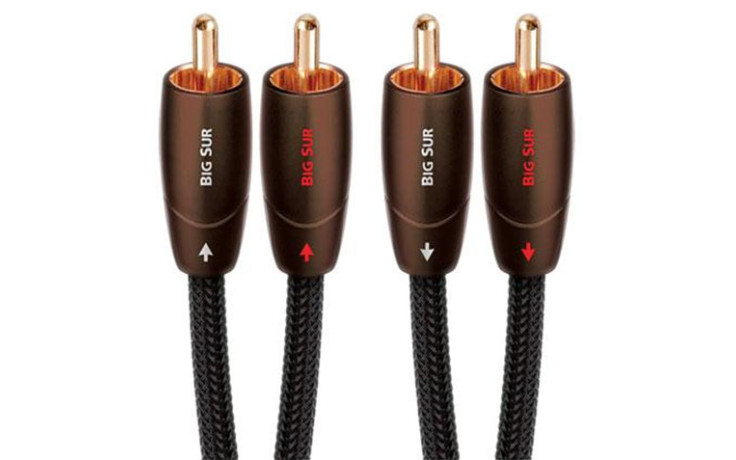 AUDIOQUEST 1.0m BIG SUR RCA > RCA