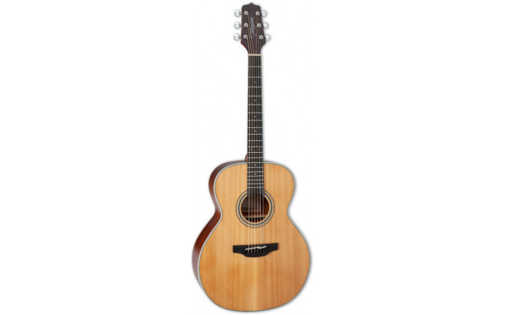 TAKAMINE GN20 NS