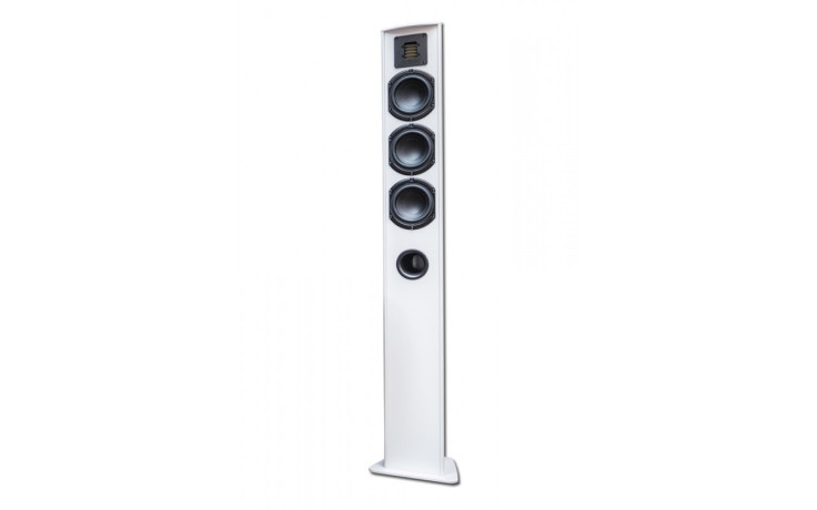 Piega TMicro 60 AMT Silver