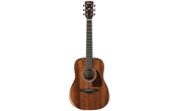 IBANEZ AW54JR OPN