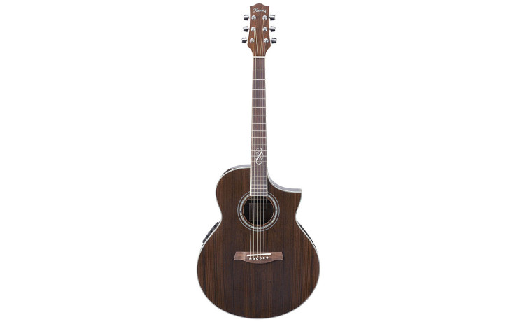 IBANEZ EW20 WNE NT
