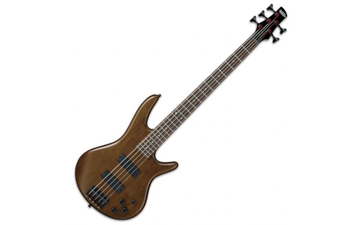 IBANEZ GSR205B WNF