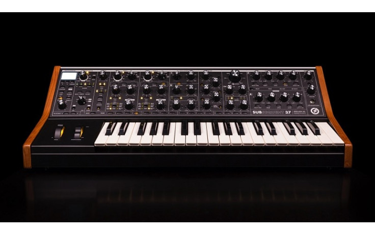 MOOG SUBSEQUENT 37