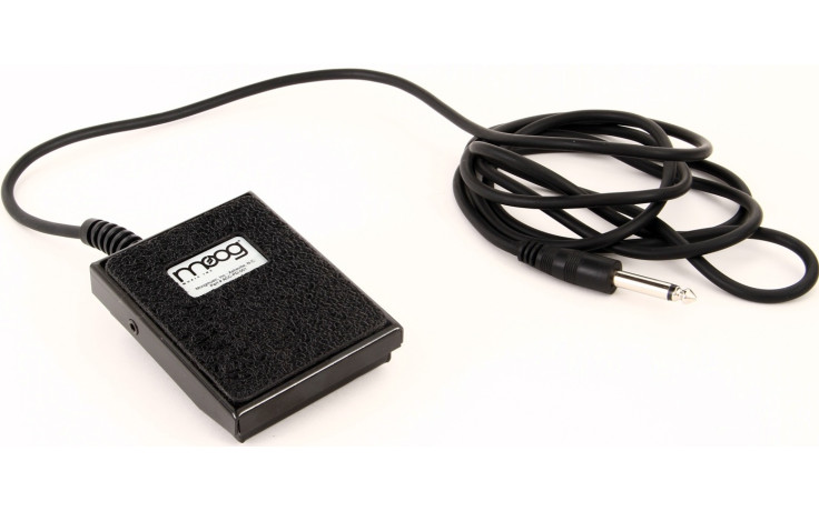 MOOG FS-1