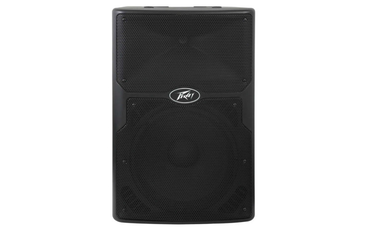 PEAVEY PVXP 15