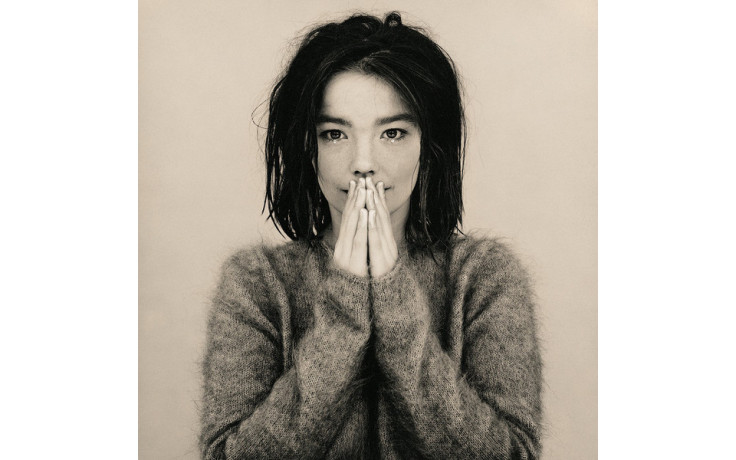 Bjork - Debut Vinyl LP