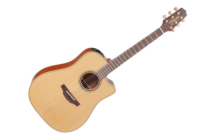 TAKAMINE P3DC