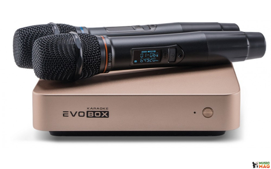 Караоке-система для дома EVOBOX Plus [Gold] + микрофоны SE 201D