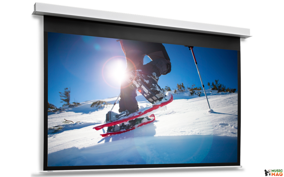 Projecta DescenderPro - HDTV (16:9) 229 x 400 Wall Switch