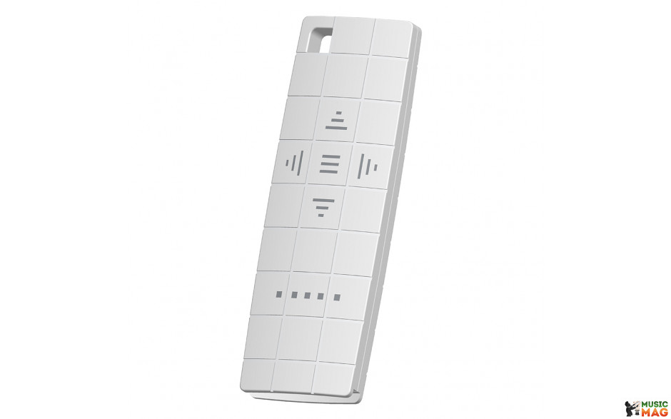 Projecta 4-channel RF remote control