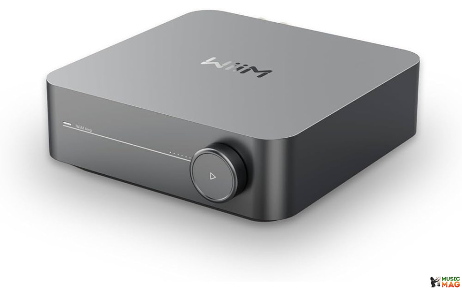 WiiM Amp Space Gray