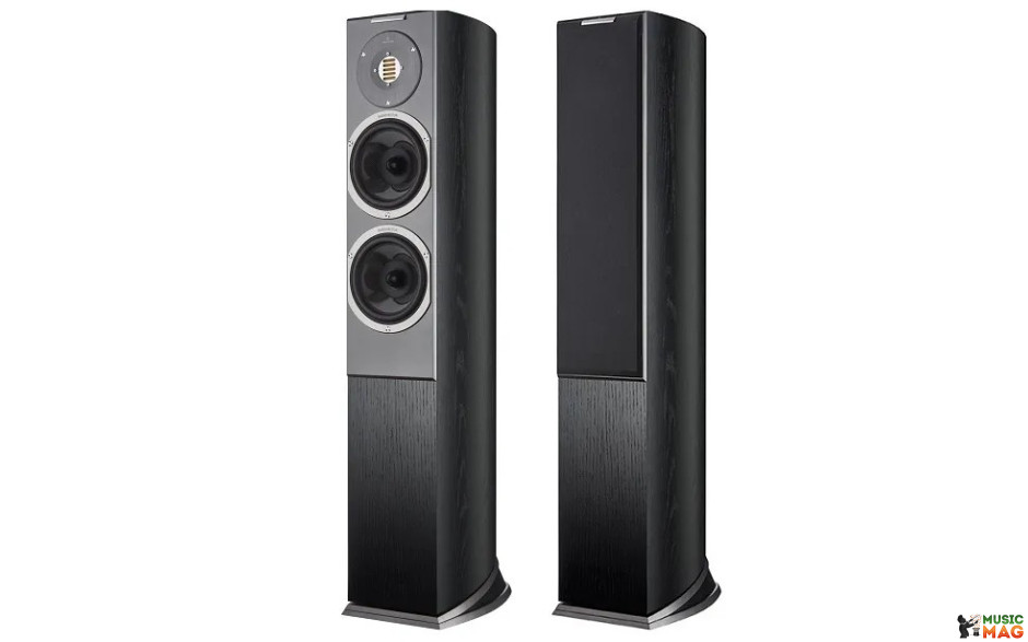 Audiovector R3 Arrete Black Ash
