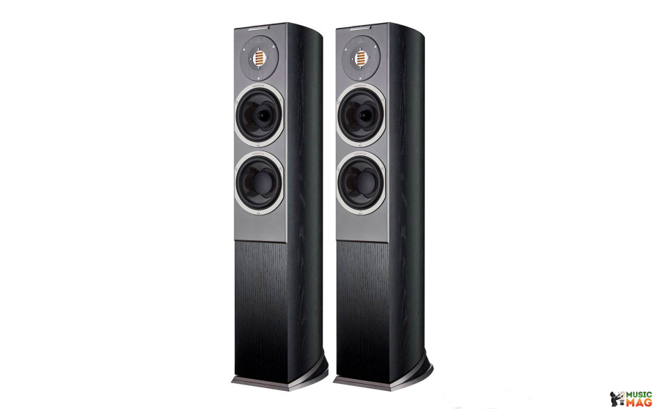 Audiovector R3 Signature Black Ash