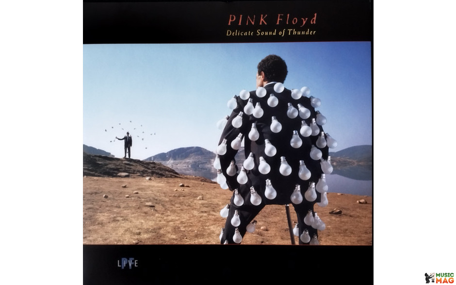 Pink Floyd: Delicate Sound Of Thunder Vinyl 2LP