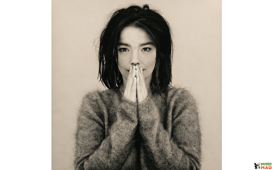 Bjork - Debut Vinyl LP