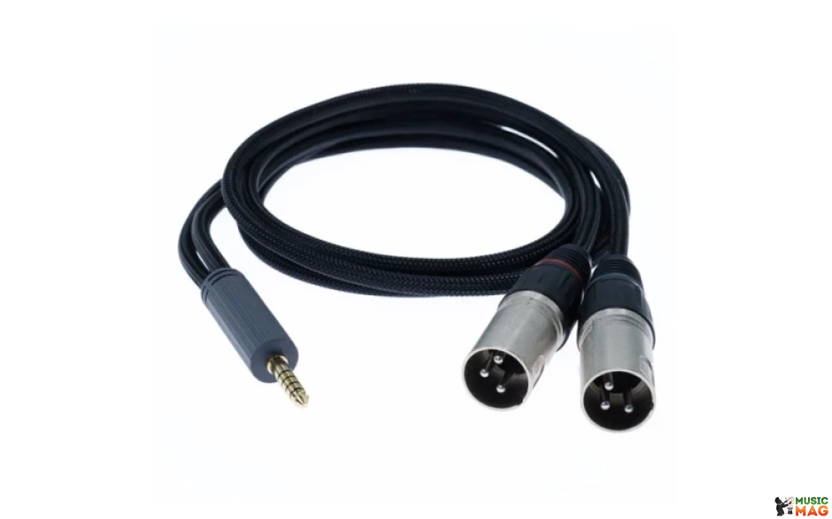 iFi audio Balanced 4.4 mm to XLR cable SE - 1 м