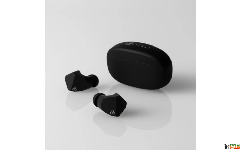 Final Audio ZE2000 Matte Black